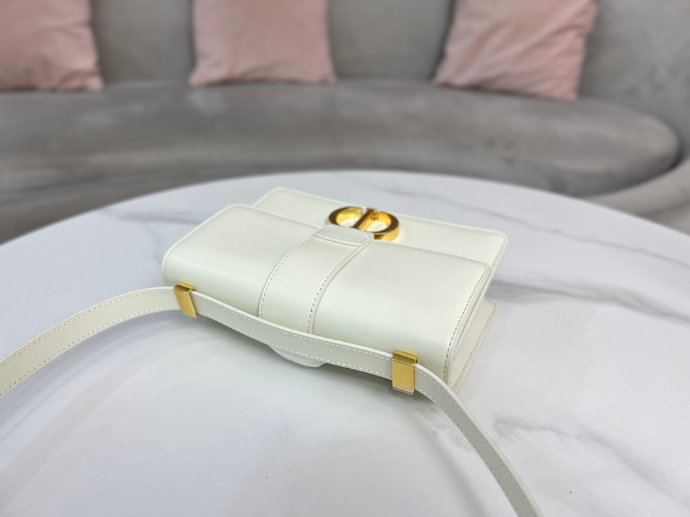 Christian Dior Small 30 Montaigne Bag