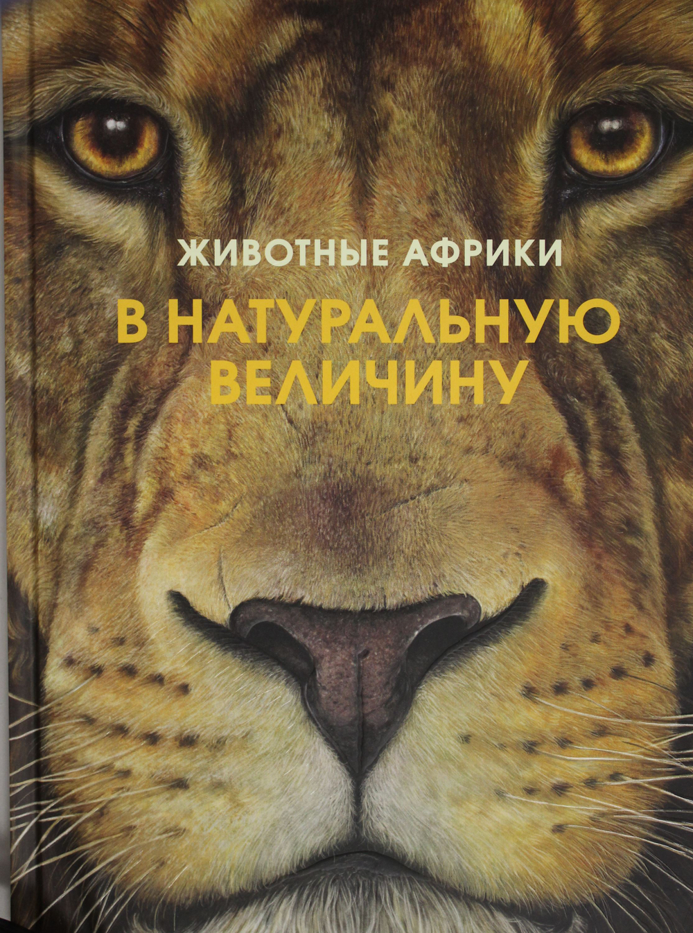 Животные Африки в натуральную величину