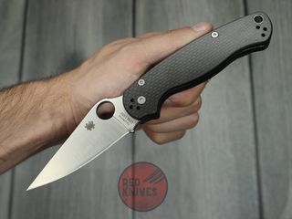 Paramilitary 2