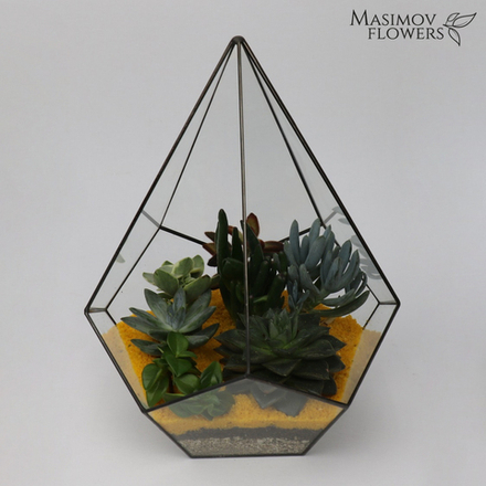 Флорариум "Дюна"