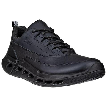 Ecco Biom 720 Leather