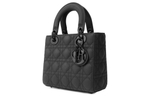 Сумка DIOR Lady Dior My ABC, M0538SLOI-M989