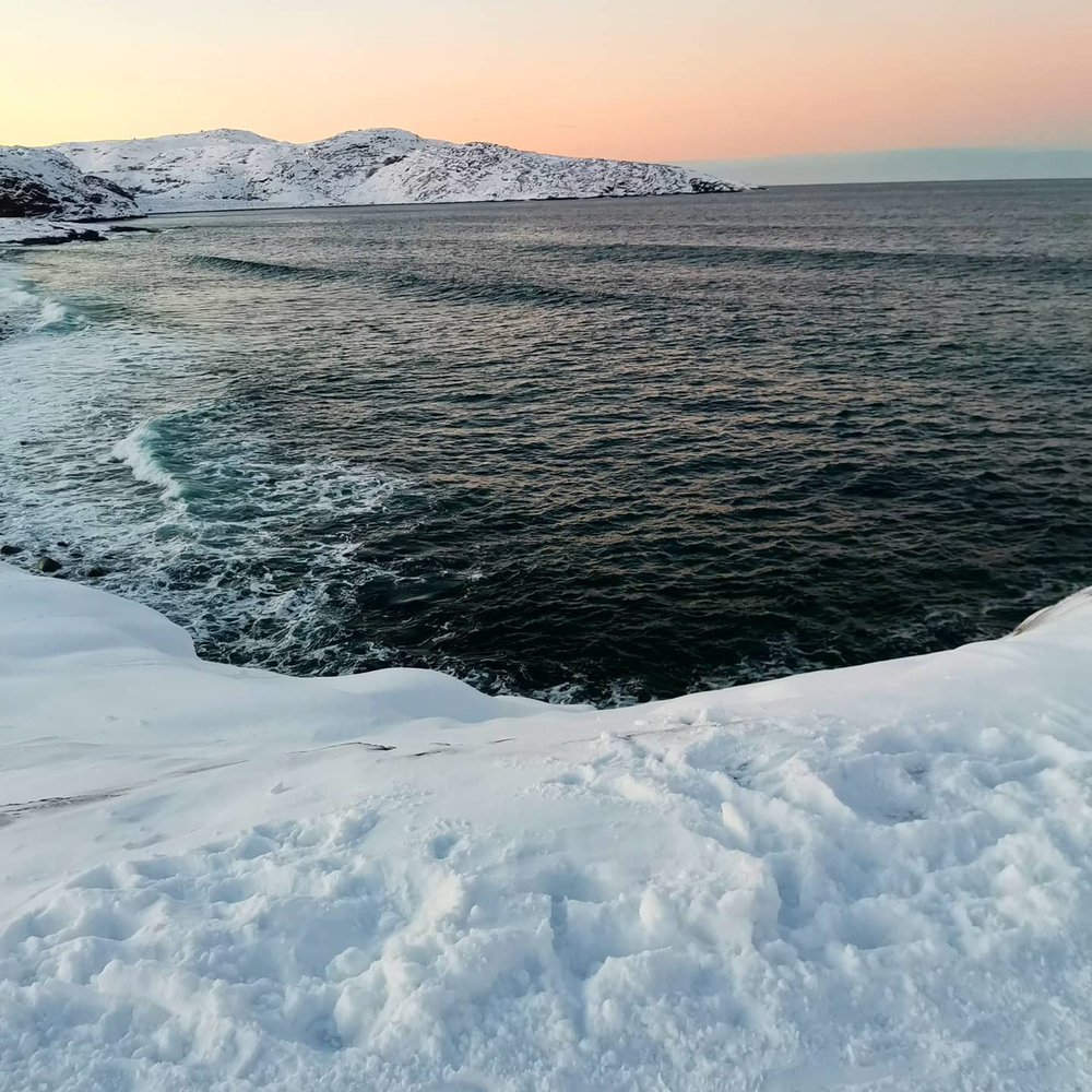 Грифон
