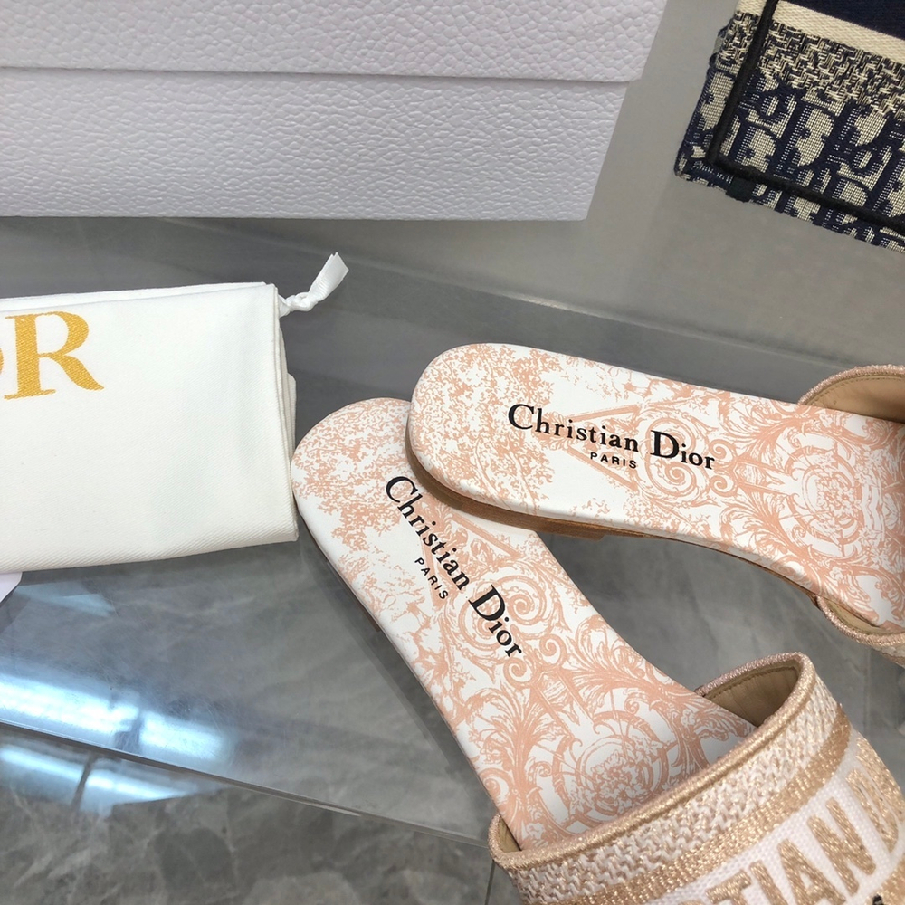 Christian Dior Dway Slide