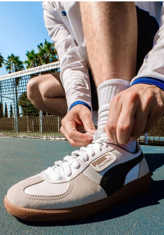Puma