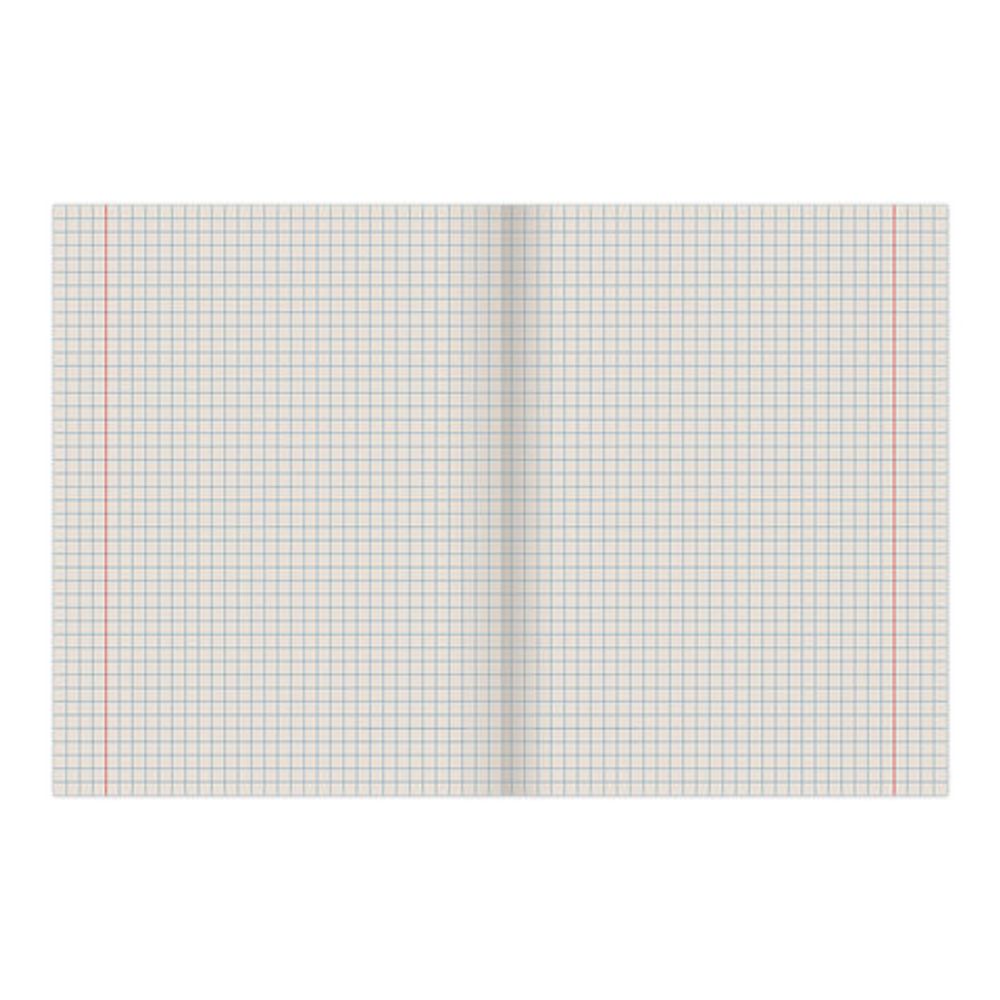 Тетрадь предметная ПОЛОСАТЫЙ СТИЛЬ 48 л., обложка картон, офсет №2, ОБЩЕСТВОЗНАНИЕ, клетка, 48-2590