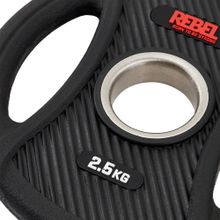 Диски олимпийские обрезиненные с двумя хватами 2,5 кг REBEL (пара)