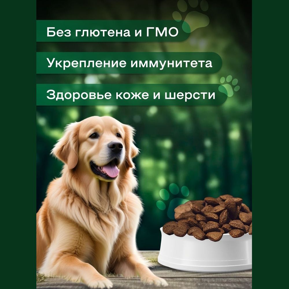 Сухой корм Fealdon Maxi Adult Lamb для взрослых собак крупных пород, с ягненком Сухой корм Fealdon Maxi Adult Lamb для взрослых собак крупных пород, с ягненком