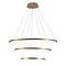 Подвесной светодиодный светильник Loft IT Ring 10015/3