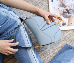 Christian Dior Saddle Bag 21 cm