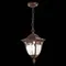 SL083.703.01 Светильник уличный подвесной ST-Luce Кофейный/Кофейный, Прозрачный E27 1*60W CHIANI