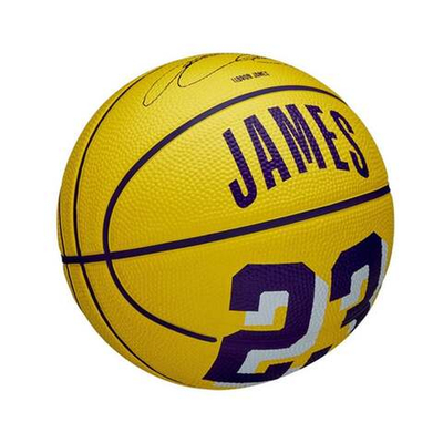 Баскетбольный мяч Wilson NBA Player Icon Mini LeBron James Size 3