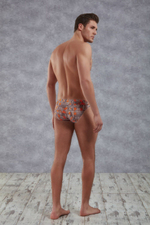 Мужские трусы-слипы с принтом Doreanse Sports (Размер: L) (Цвет: разноцветный)