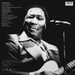 Muddy Waters / Muddy Mississippi Waters Live (2LP)