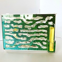 Муравьиная ферма с муравьями "Джунгли" (190*160*165 мм)