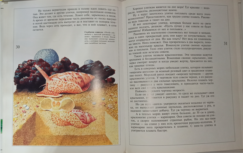 Книга улитка высуни рожки, Б/У