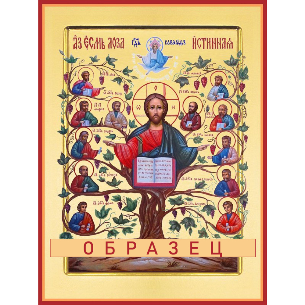 Лоза Истинная - Древо Жизни