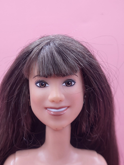 Кукла Барби Boneca Mitchie Camp Rock 012023