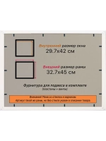 Рамка для постера и фотографий 29,7x42