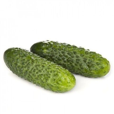 Лист F1 семена огурца партенокарпического (Rijk Zwaan / Райк Цваан)