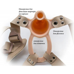 Анальный фиксатор + мужской фаллопротез на каркасе MEN STYLE