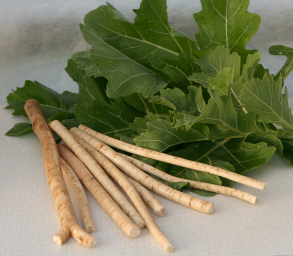 Пикадром семена катрана (Гавриш) – фото 3