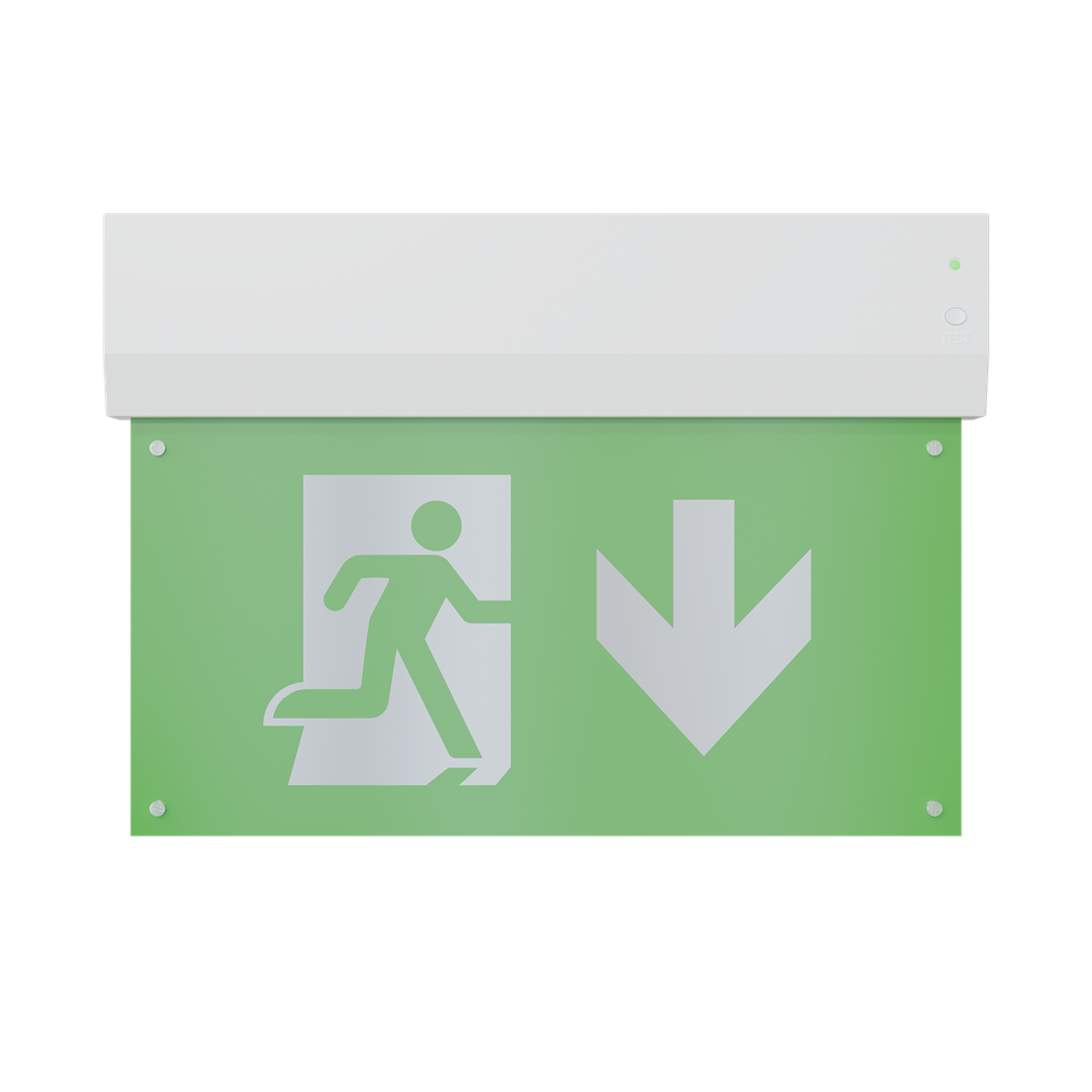 Светильник аварийный ДПО80-1-133 Faeton DT LED АСТЗ (Ардатов)