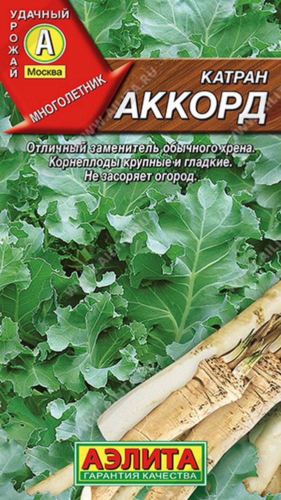 Катран (хрен) "СТ. Аккорд" 0,3г., Россия. Катран (хрен) "СТ. Аккорд" 0,3г., Россия.
