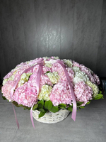 50 оттенков нежности