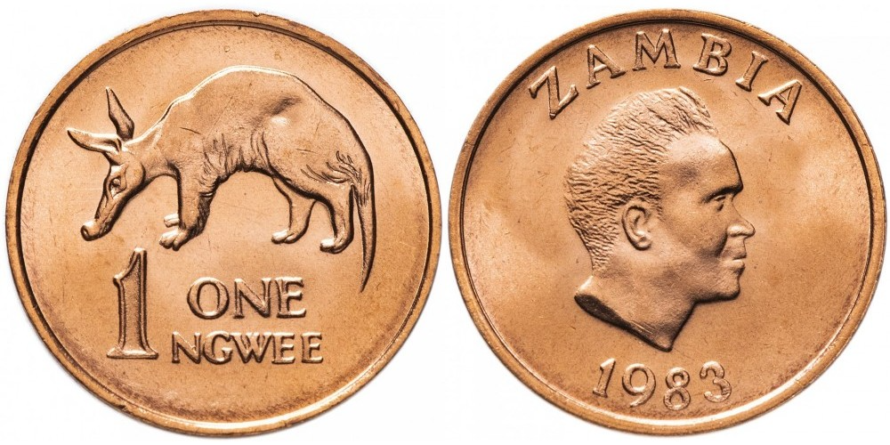 Замбия 1 нгве, 1982-1983 Трубкозуб UNC