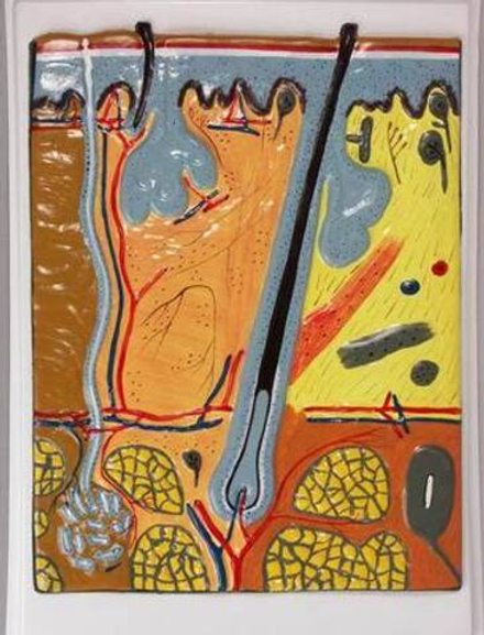 Барельефная модель Кожа. Разрез