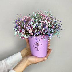 Цветы в коробке с гипсофилой