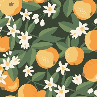 Цветущий апельсин