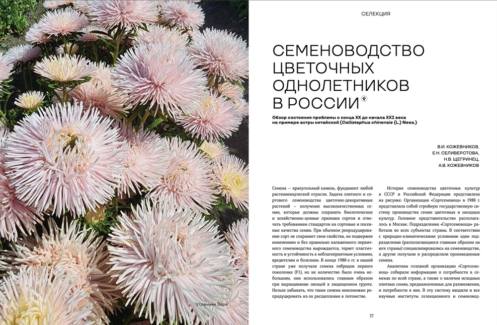 Цветоводство ОСЕНЬ 2024