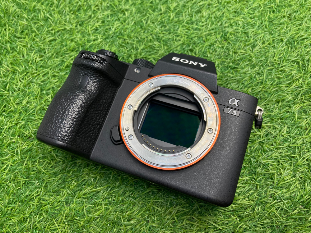 Sony A7 III 12.500 кадров