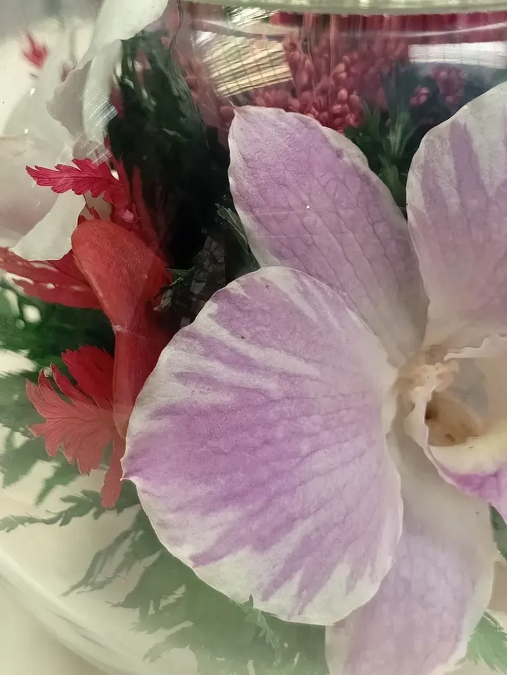 натуральные цветы в стекле, вакуум