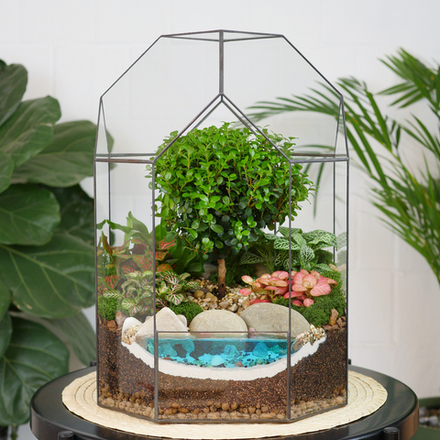 Готовый флорариум бонсай Мирсина Бонсариум XL с озером