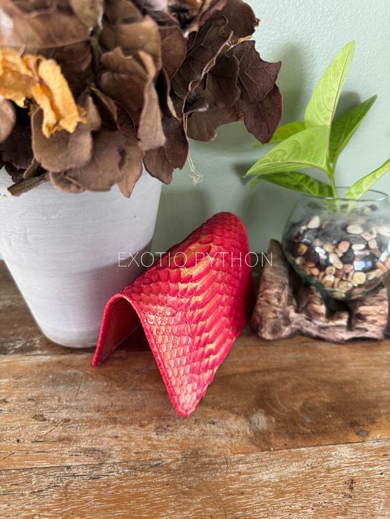 Обложка на паспорт из питона AC-135