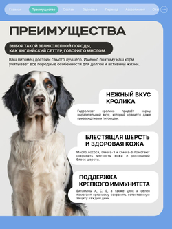 Корм для взрослых собак породы Английский сеттер, с кроликом, 3 кг, QUATTRO