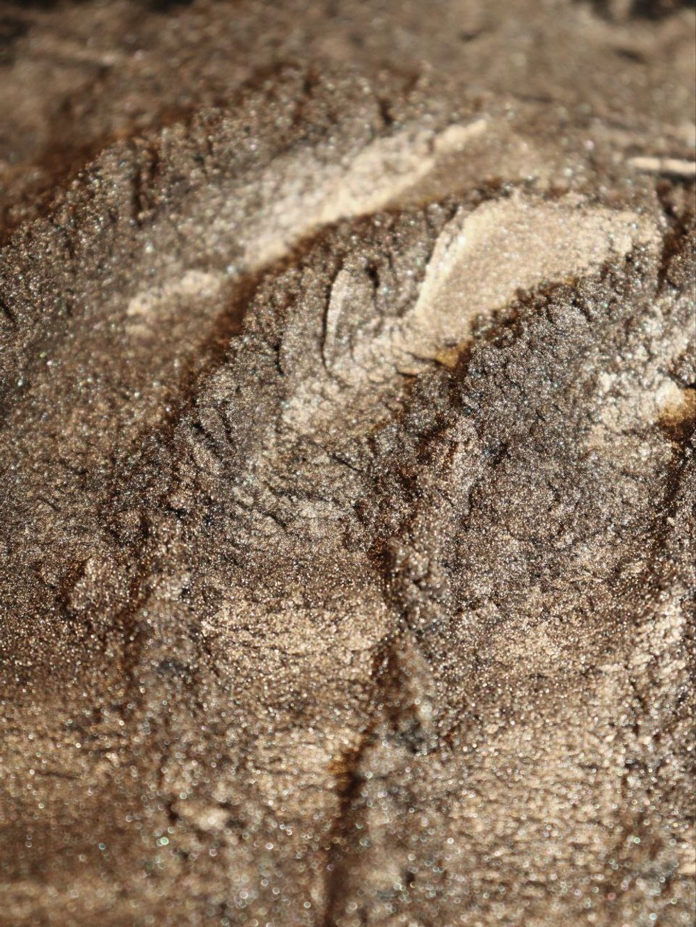 Премиум пигмент 8972 Тёмный орех - универсальный