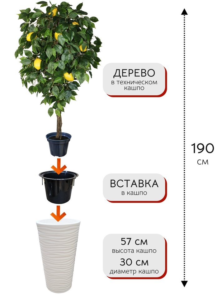 Искусственное дерево Лимон 190 см в высоком круглом белом кашпо