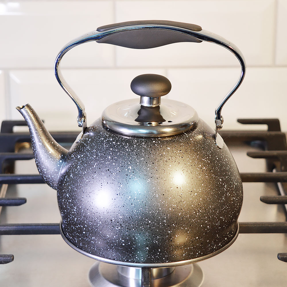 Чайник 1,2 нерж, матовый, индукция "Daniks" GS-04592C-1.2L