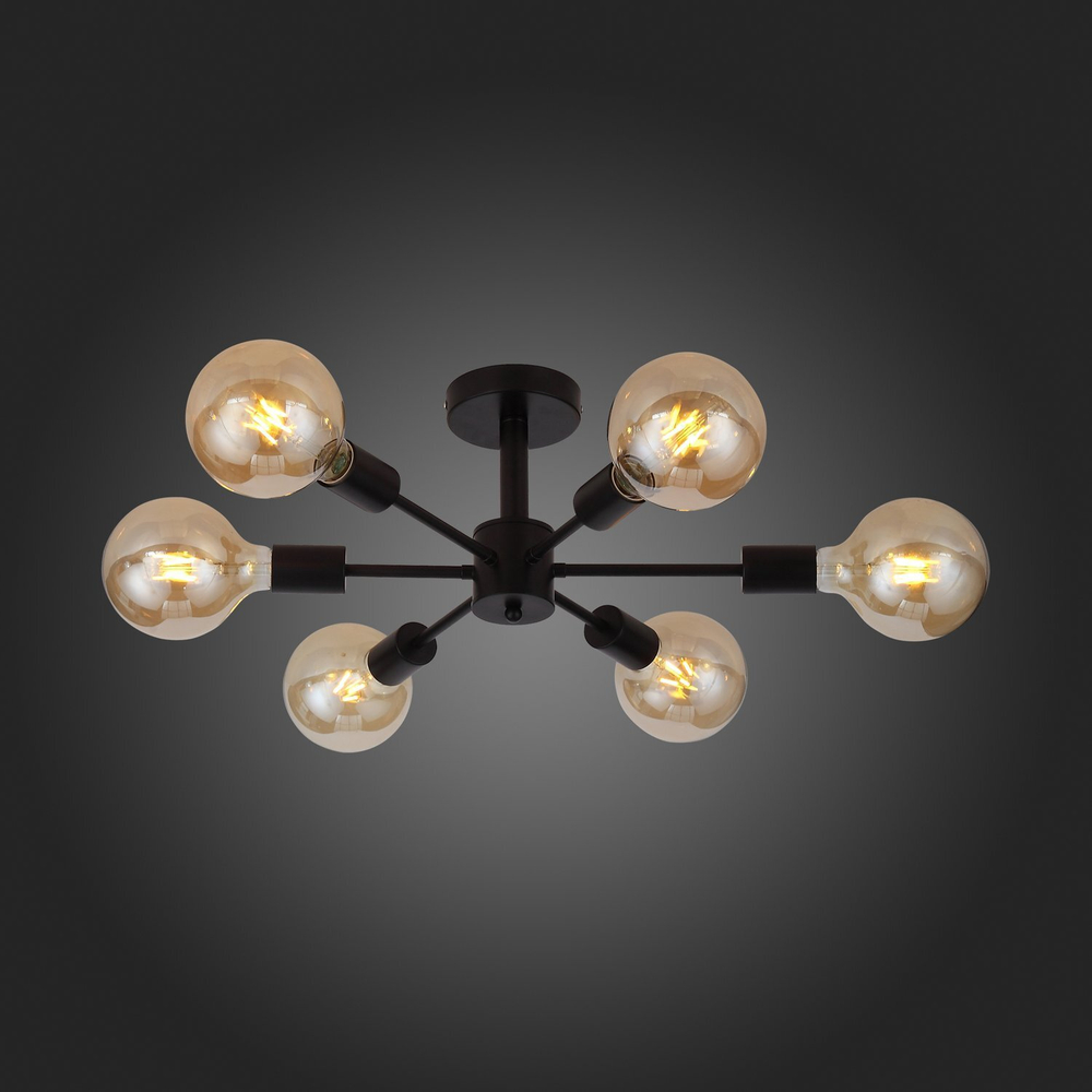 Светильник потолочный Evoluce Ano SL419.402.06