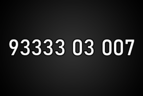 9333303007