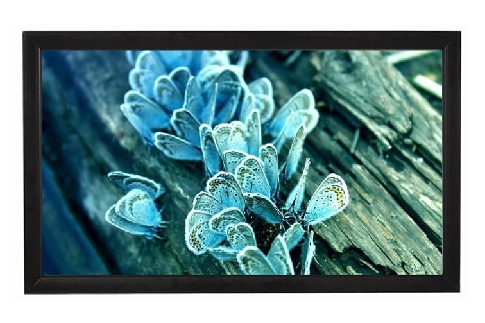 Экран  Viewscreen Omega OMG-16902