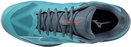 Кроссовки мужские Mizuno Wave Exceed Light All Court, арт. 61GA2218-32