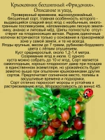 Крыжовник Фридония бесшипный сладкий