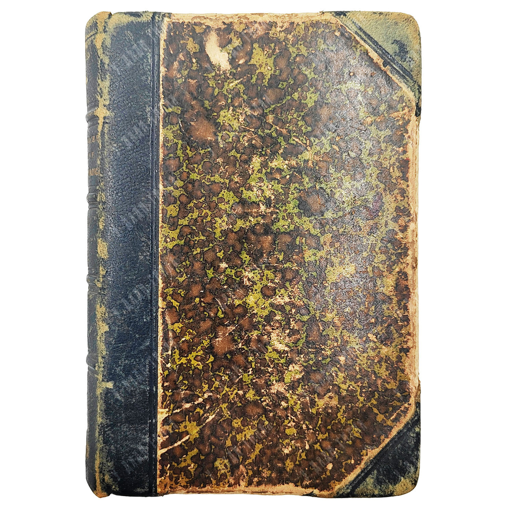 Chorier N. Satyra Sotadica de arcanis Amoris et Veneris / Диалоги Луизы Сигеа о таинствах Амура, 188