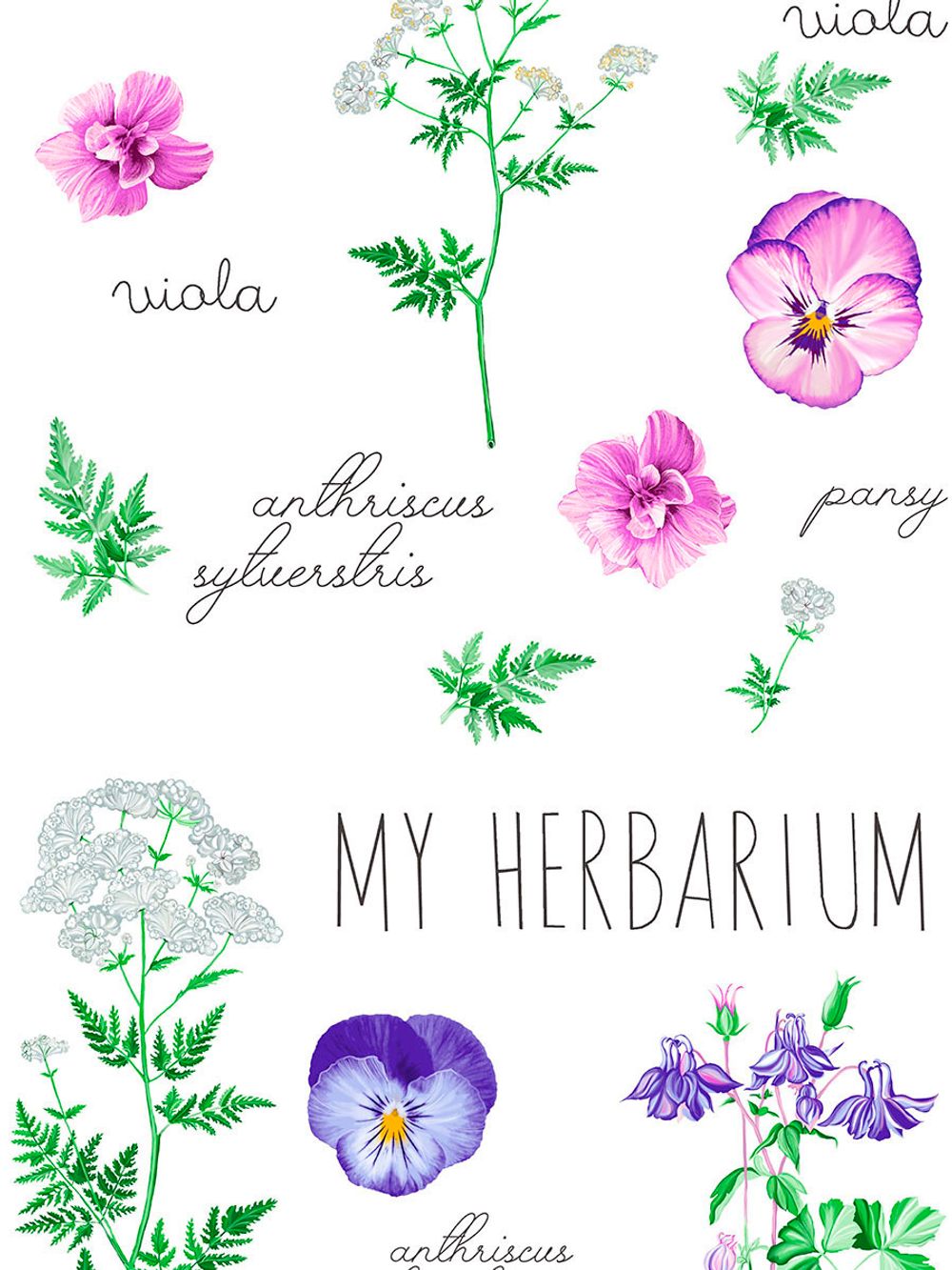 Наволочка комплект 2шт перкаль Сказка "HERBARIUM" 50x70 см на молнии