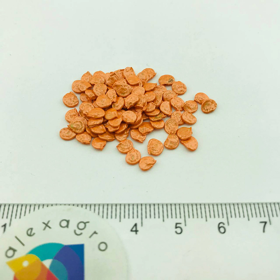 КЛАУДИО F1 семена перца сладкого (Nunhems | Alexagro) – фото 14